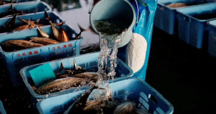 seafood supplier